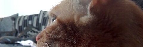 willisover9000's profile banner image