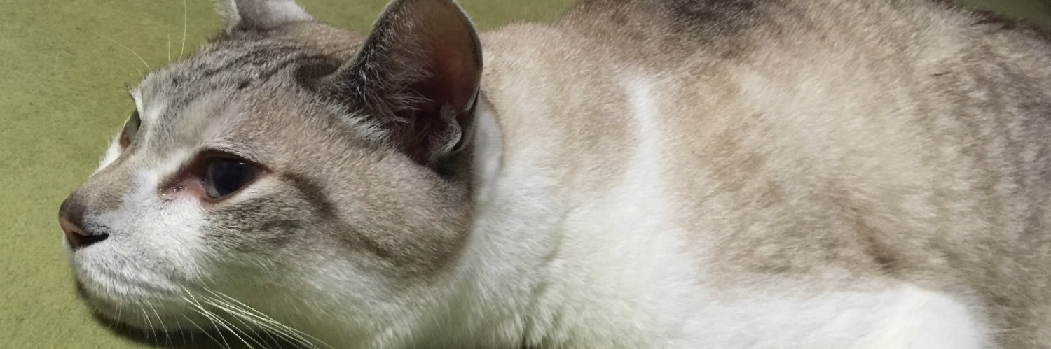 8729m's profile banner image