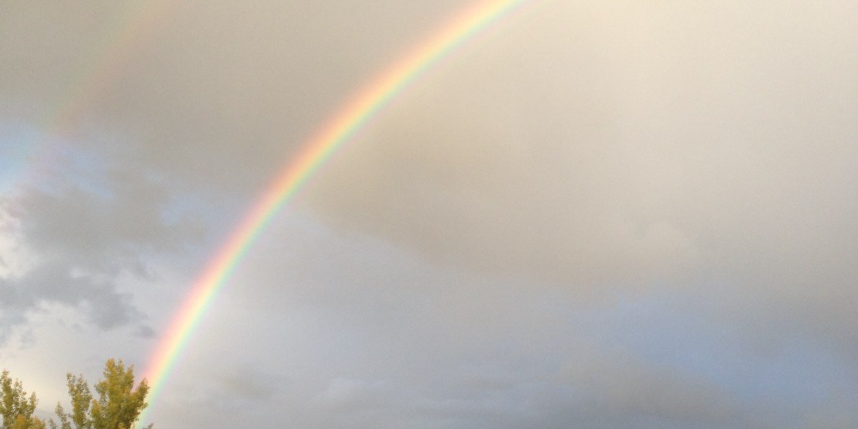raelenepeech's profile banner image