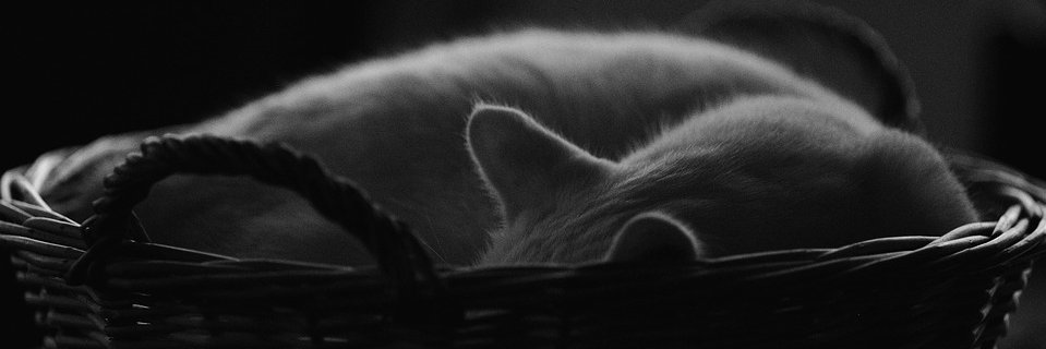 PerezDodo's profile banner image