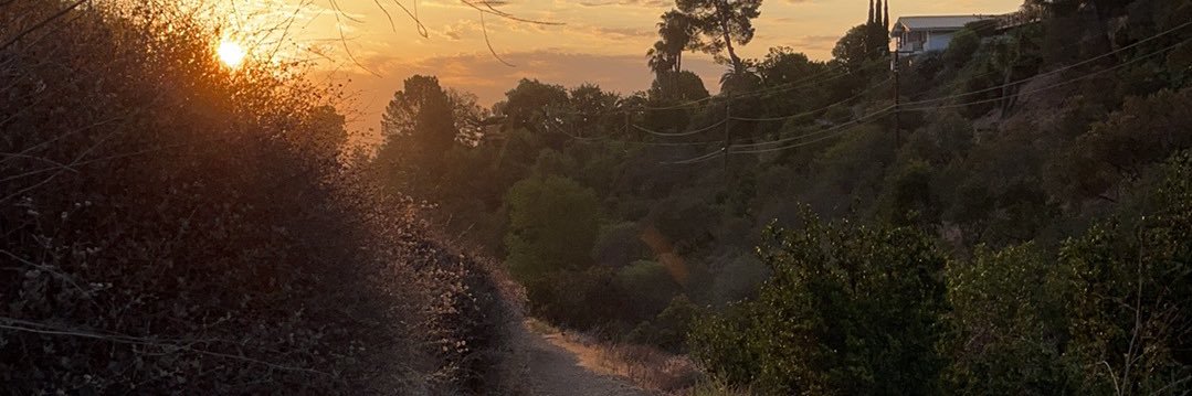 gullywasher's profile banner image
