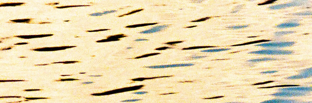 tom17ruffo's profile banner image