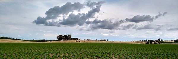 catalystcommons Profile Banner