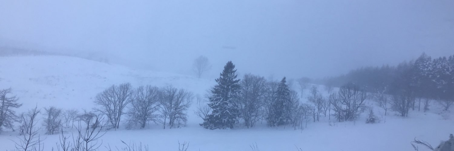 chiguo_'s profile banner image