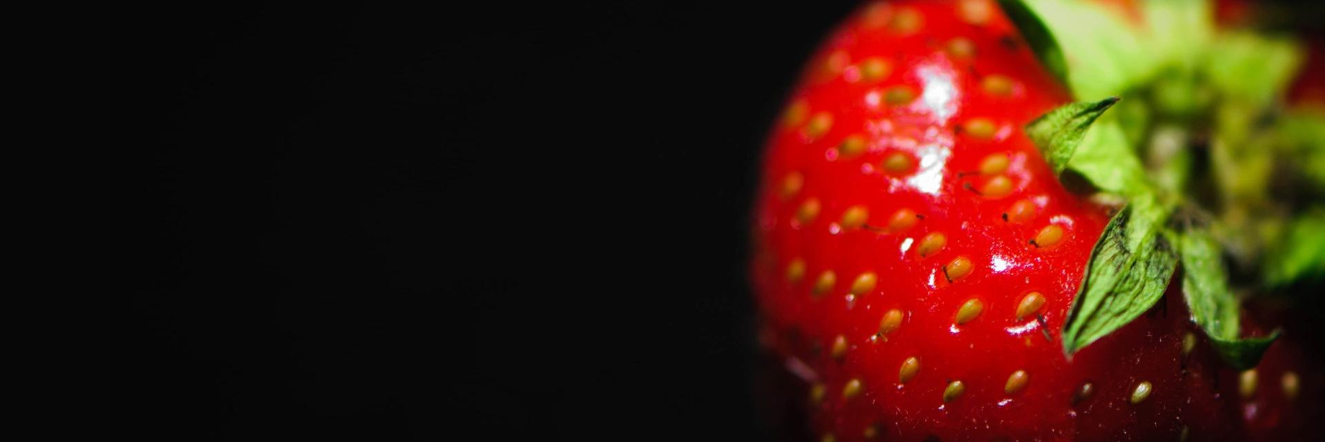 ElkeBerry's profile banner image
