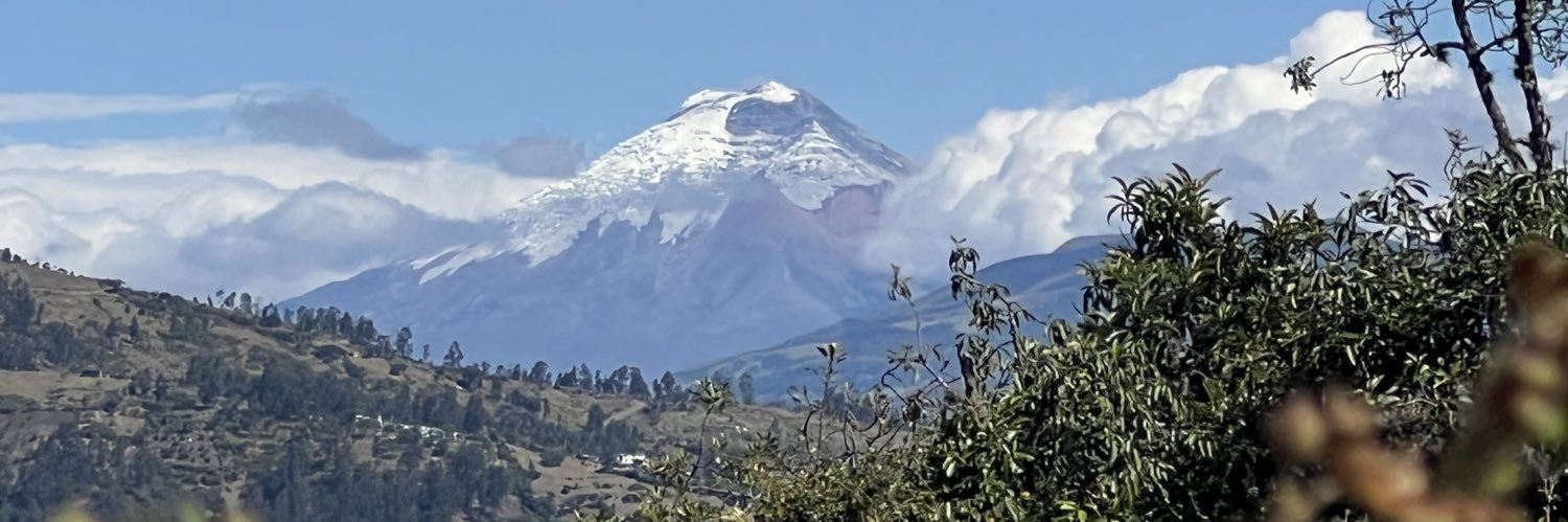 Inka Mattila PNUD banner