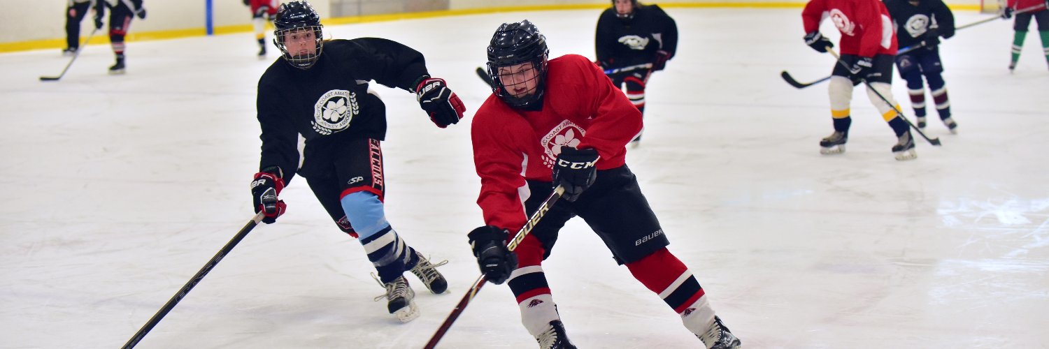 PCAHA Female Hockey banner