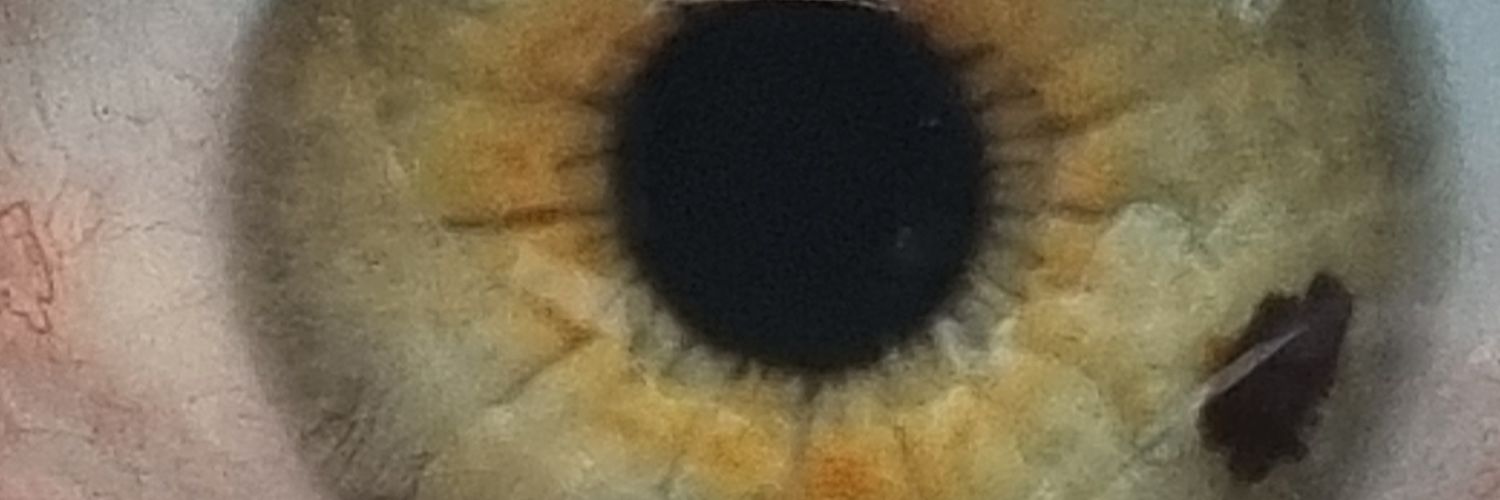 purpleblacks's profile banner image