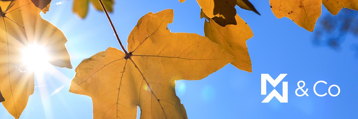 Daniel Williams banner