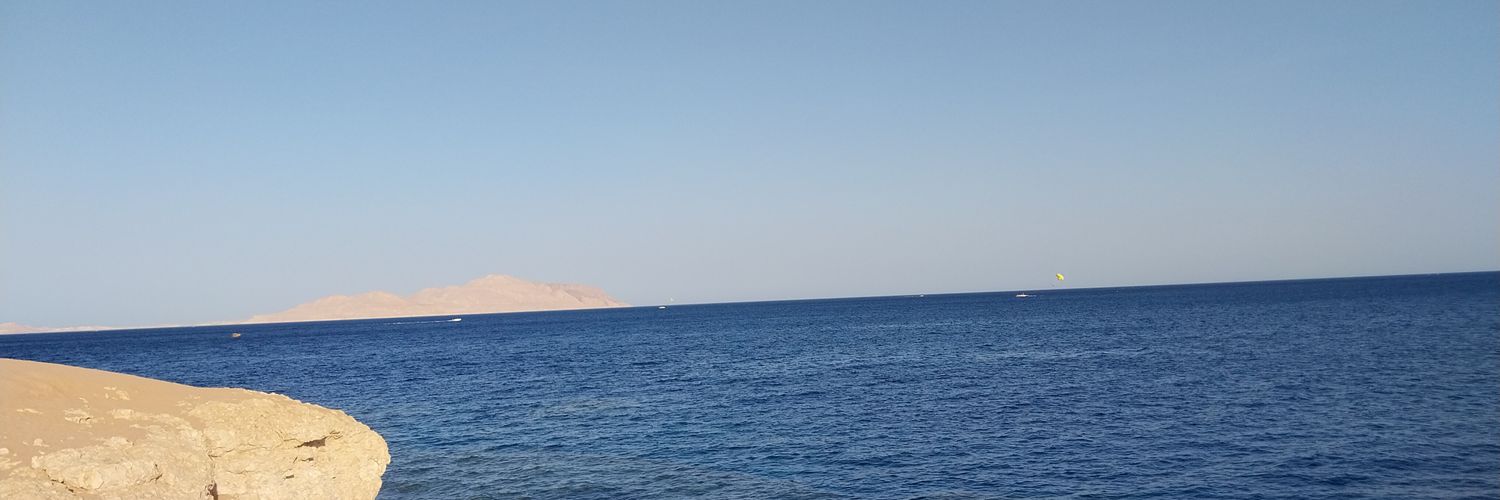 reha_ma's profile banner image