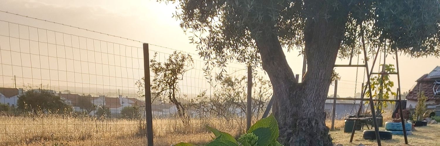 alessander111's profile banner image