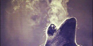 ___max___22818's profile banner image