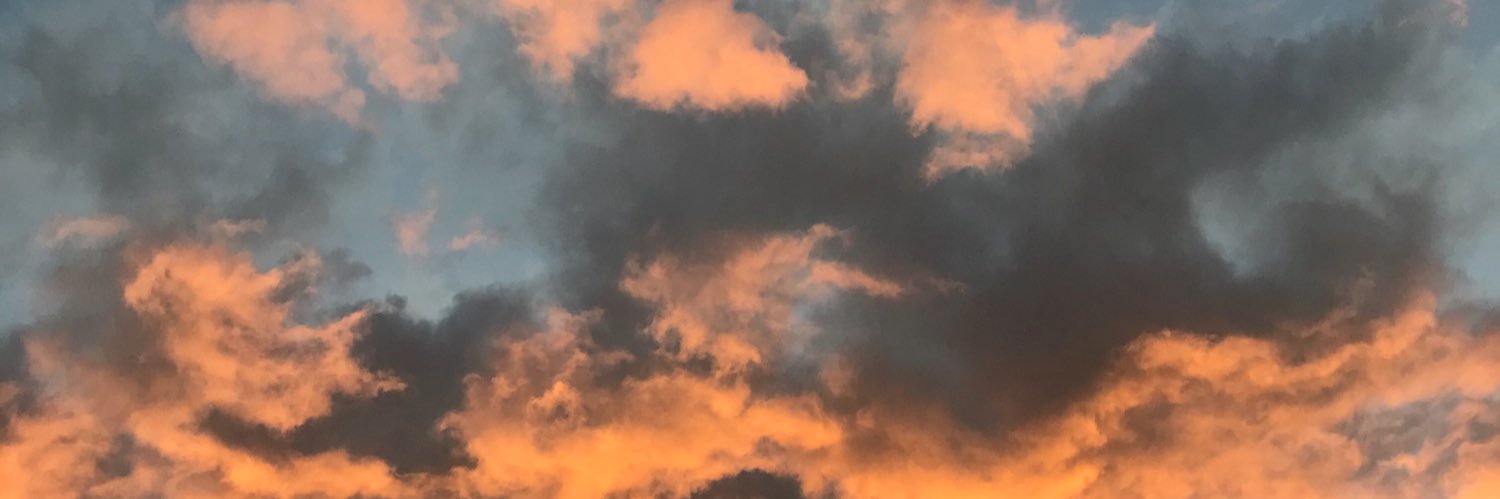gianna_hawk's profile banner image