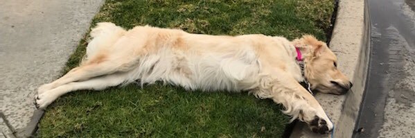 Kenz: Hater™️ banner