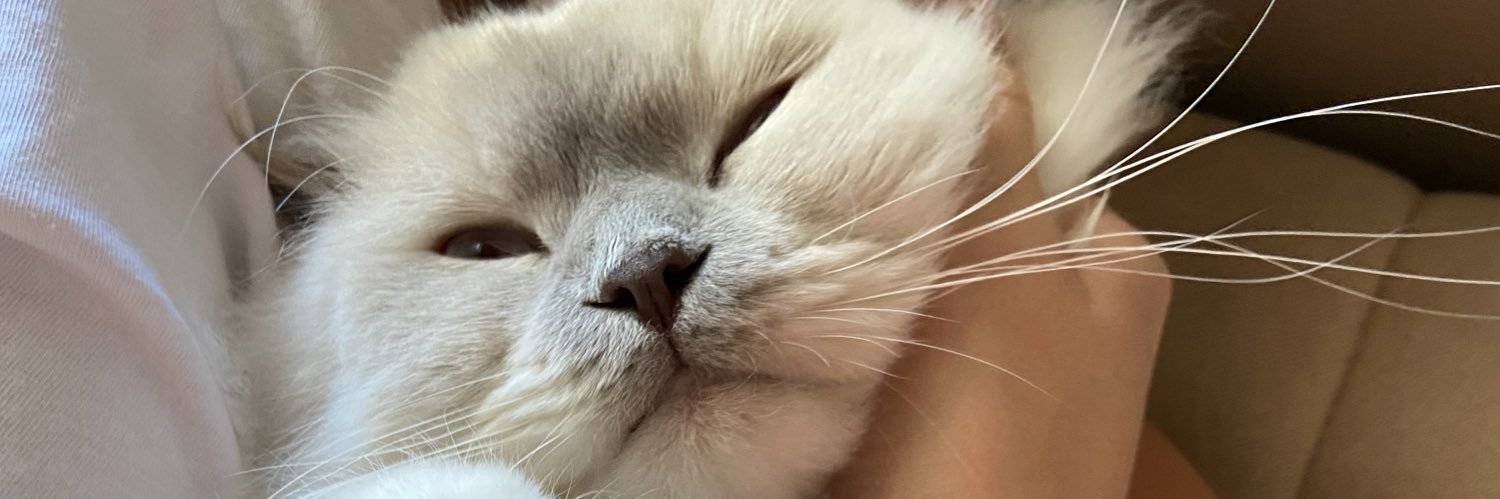 gulsum_cimen's profile banner image