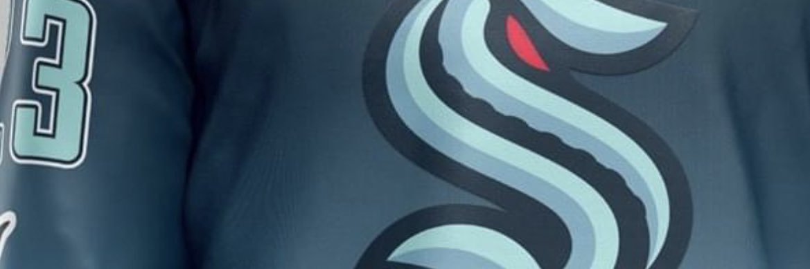 seahawkprincess's profile banner image