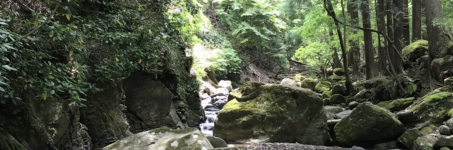 ベンジャミン🌿 banner