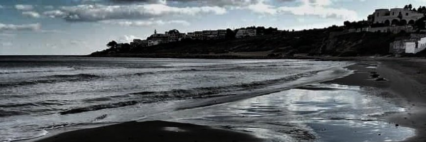dibapaya's profile banner image