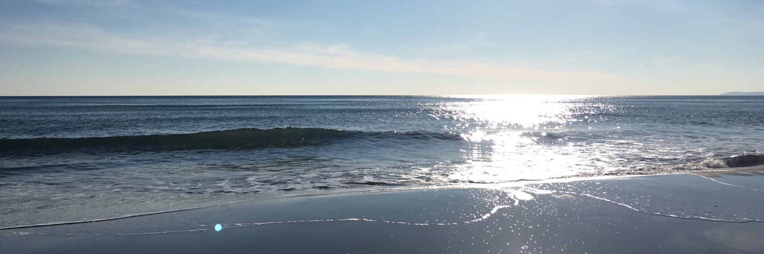 camzitraz's profile banner image