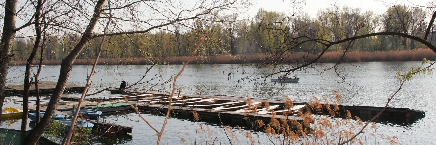 Adrian Brasoveanu banner