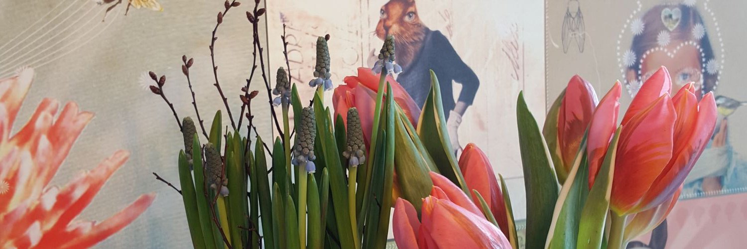 ellen_plas's profile banner image