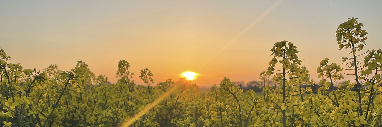 AlexSherriff1's profile banner image