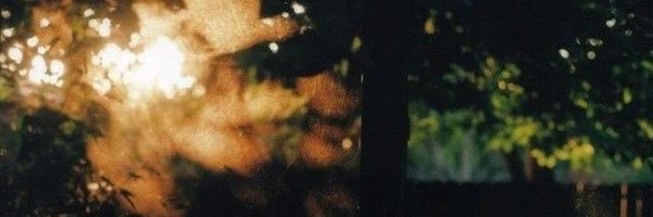 daryamtn Profile Banner