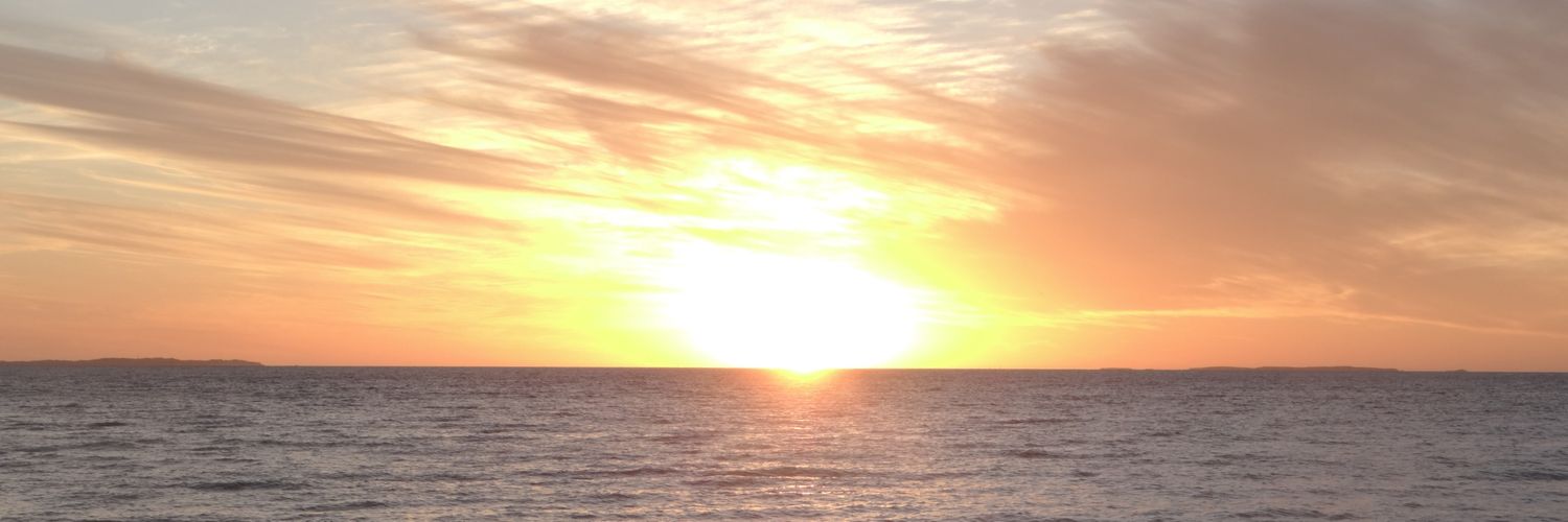 SandraD02's profile banner image