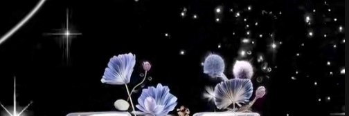 {𝑃**𝑀**𝑇} banner