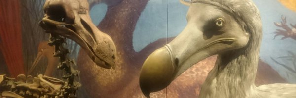 mephitis Profile Banner