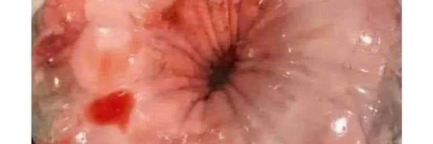 The Curator 𝕏O𝕏O banner