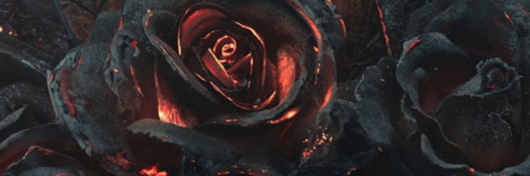 billaBangs's profile banner image