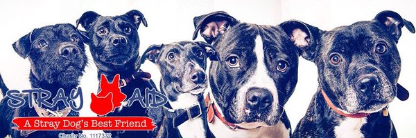 StrayAidDogs Profile Banner