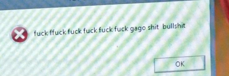 ฮอลลี่ ☘️💫 banner