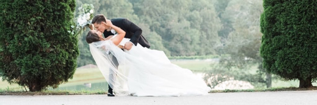 Liz Webber banner