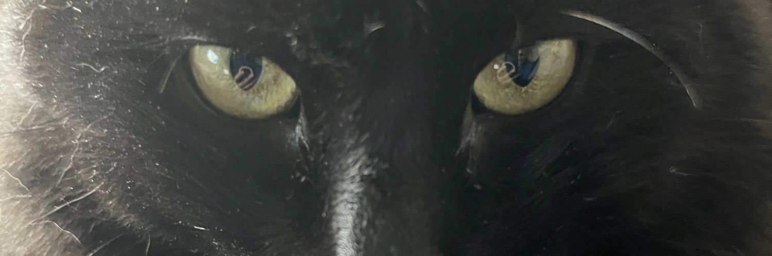 François / Le cabinet noir 🤩's banner
