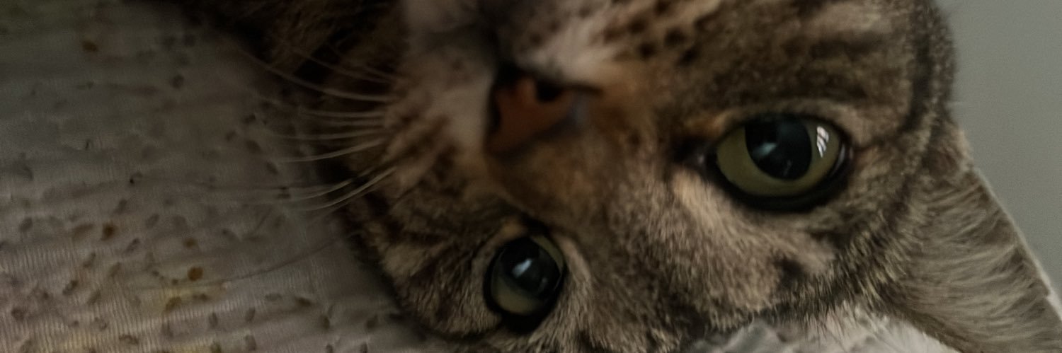 itzabellax's profile banner image