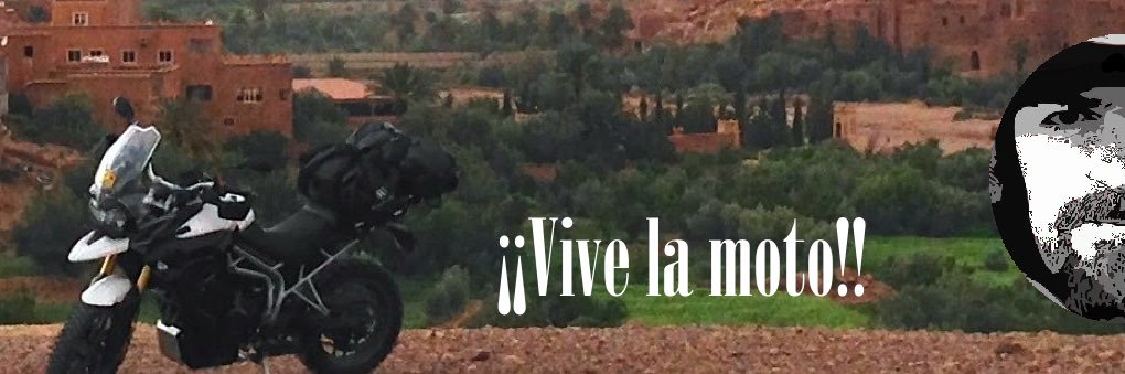 AVI_LEX's profile banner image