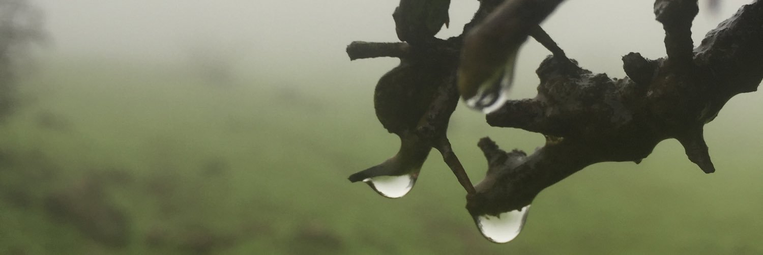 mo_tamimi's profile banner image