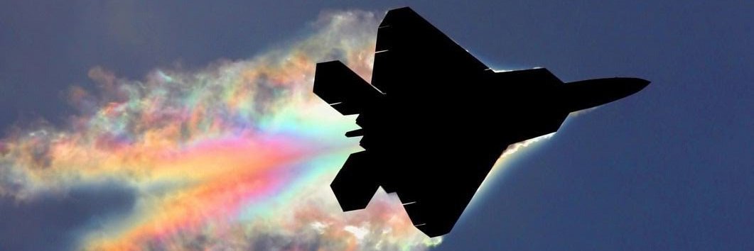 forget me not 🍉 banner