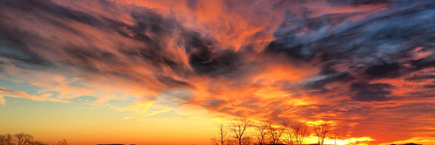 Morgan McCormick banner