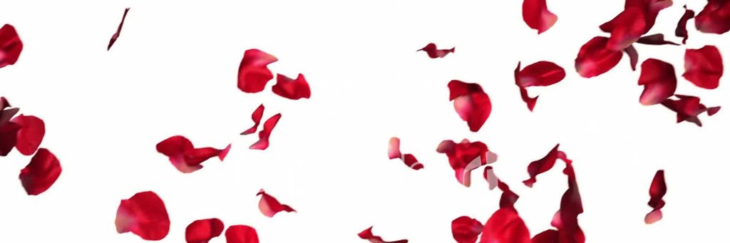 _kynichole's profile banner image