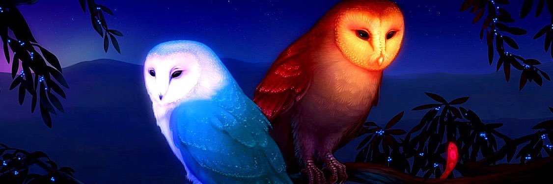 Pedro Mayor Martinez - Abogado - Docente banner