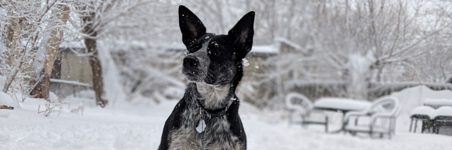 joshua alcala banner