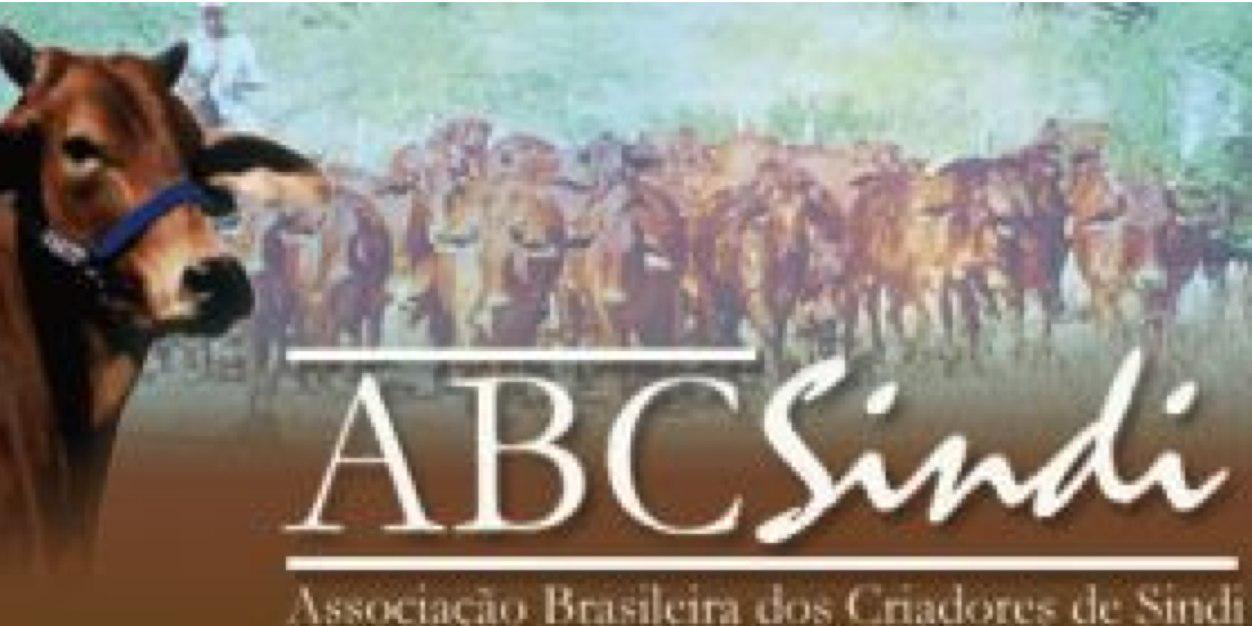 ABCSindi's profile banner image