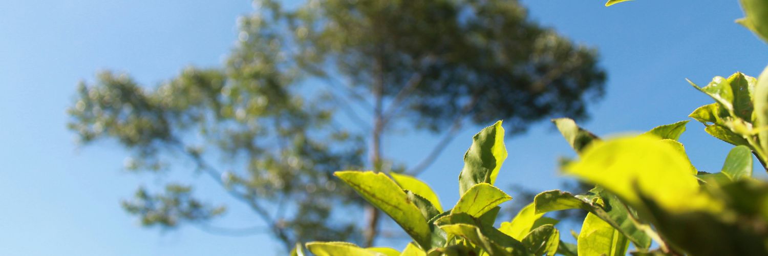 rafikabhakti's profile banner image
