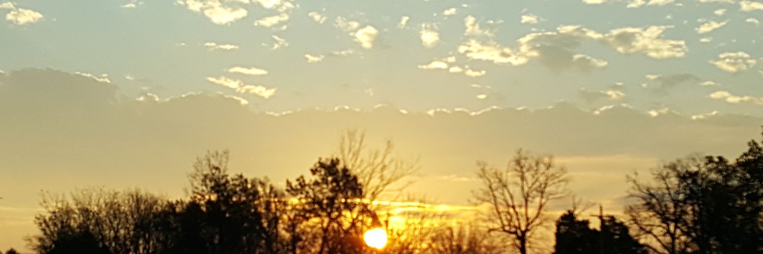 Lynn 🇺🇲 banner