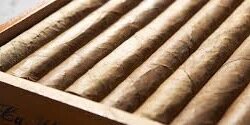 marcellascigars's profile banner image