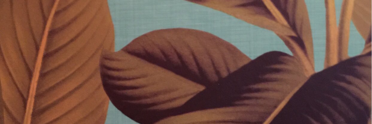 Jason Odio banner