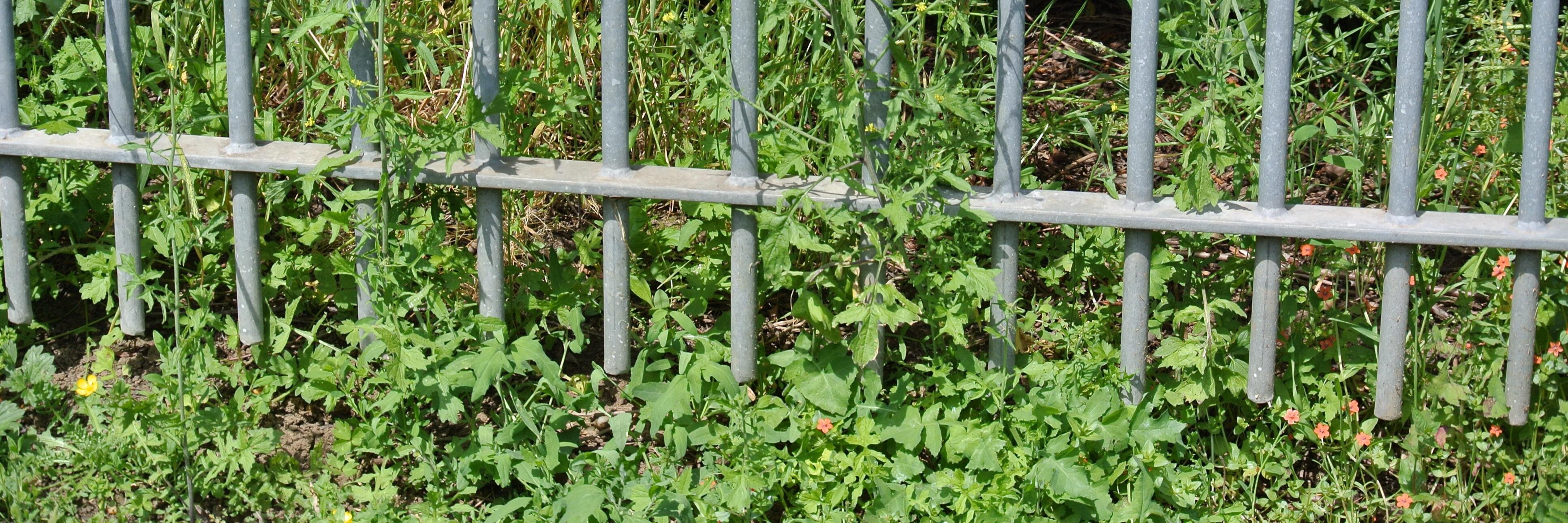 CarltonLindrick's profile banner image